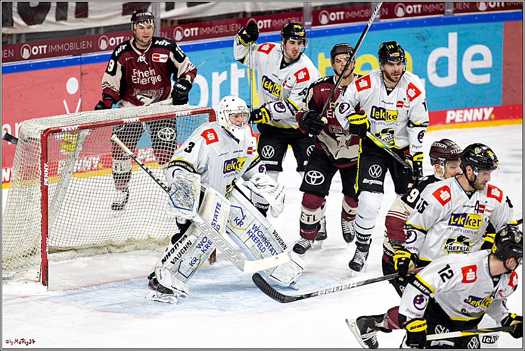 PENNY DEL;  Koelner Haie - Krefeld Pinguine; Koeln, 28.02.2021